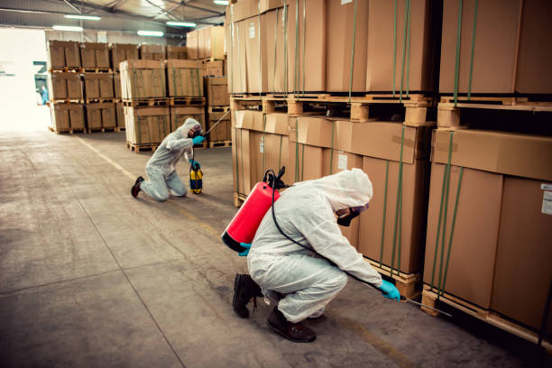 Best Residential Pest Control  in Lakeview, GA