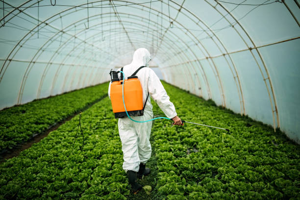 Reliable Lakeview, GA Pest Control Solutions