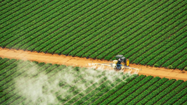 Pest Prevention Services in Lakeview, GA