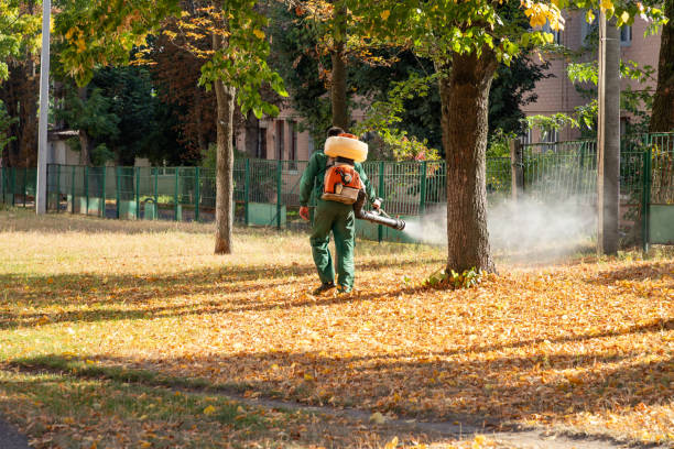 Best Affordable Pest Control Services  in Lakeview, GA