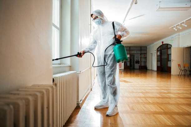 Best Local Pest Control Services  in Lakeview, GA